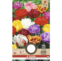 Pachet cu bulbi de lalele Tulipa Double Late Mix