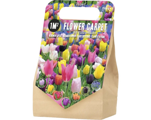 Bulbi de flori pentru un covor floral de 1 metru pătrat, 50 de bucăți