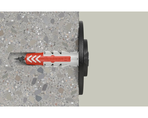 Diblu Fischer într-un perete