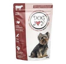 Hrană pentru câini adulți Dog Joy, aromă de vită, 100 grame
