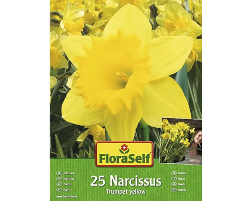 Bulbi narcise FloraSelf galbene 12/14 25 buc.