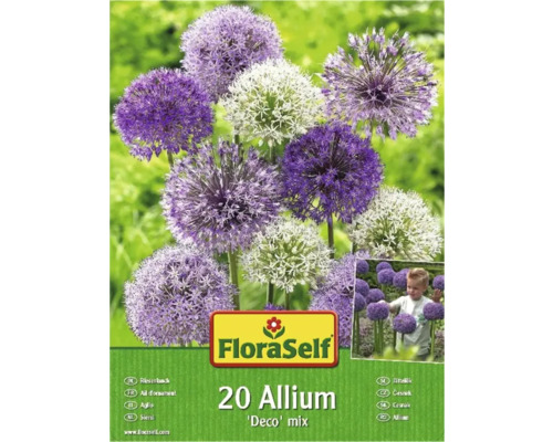 Bulbi de flori FloraSelf Allium mix 20 buc.