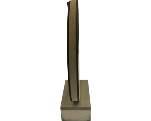 Disc abraziv cu corp abraziv pe soclu