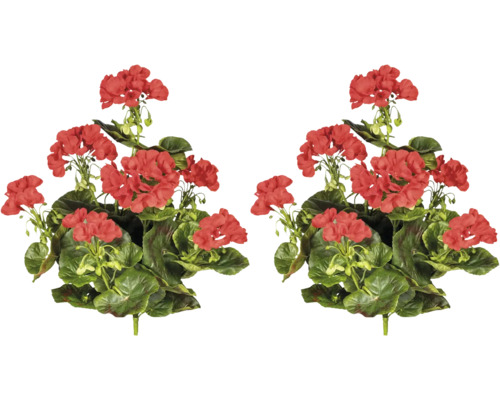 Mușcată cu flori roșii și frunze verzi