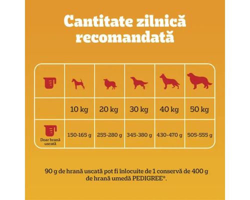 Cantitatea zilnică recomandată de hrană pentru câini în funcție de greutatea câinelui