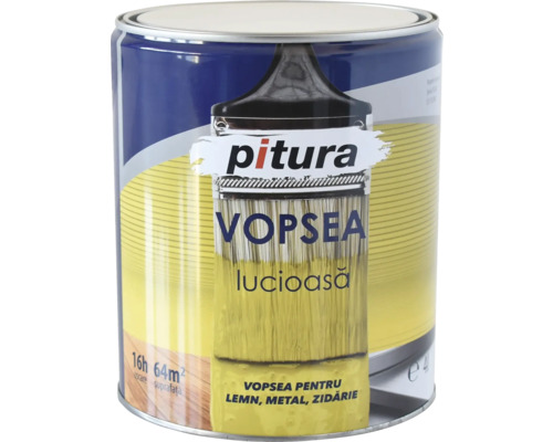 Vopsea alchidică universală Pitura alb polar 10 l Recipient cu vopsea pentru lemn, metal și zidărie