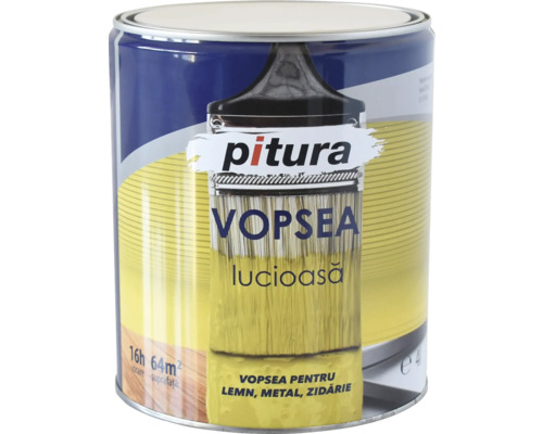 Vopsea alchidică universală Pitura gri metal 10 l Cutie cu vopsea pentru lemn, metal și zidărie