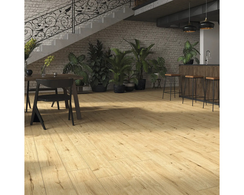 Vedere de la nivelul podelei a unei camere cu podea de lemn, masă de sufragerie, scări și plante.