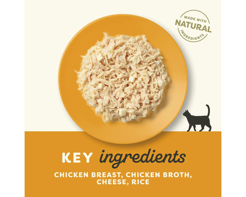 Mâncare pentru pisici cu piept de pui, supă de pui, brânză și orez într-o farfurie