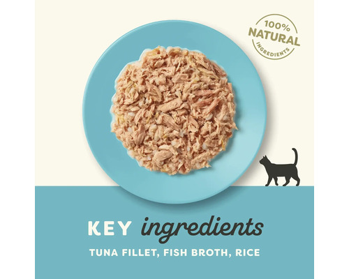 Hrană pentru pisici cu file de ton, supă de pește și orez într-o farfurie