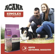 Hrană uscată pentru câini Acana cu miel hrănit cu iarbă și oameni cu câine în iarbă