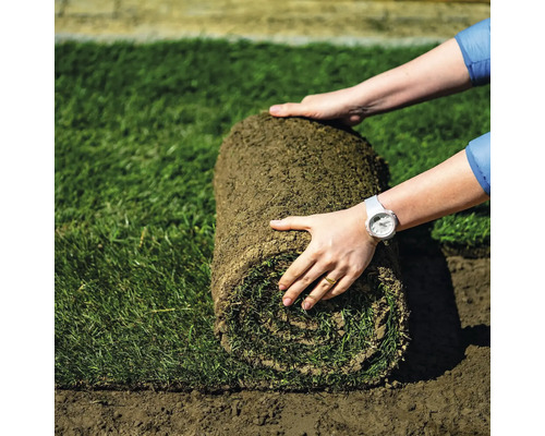 O persoană derulează o rolă de gazon pe un gazon.