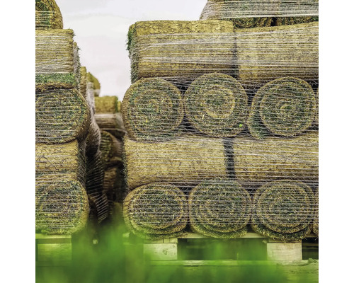 Stivă de rulouri de gazon pe un palet, ambalate în folie.