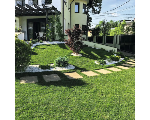 Grădină amenajată cu gazon, potecă de piatră și elemente decorative