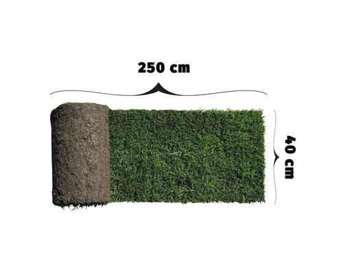 Rulou de gazon cu dimensiunile de 250 cm pe 40 cm.