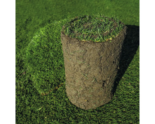 Rulou de gazon pe gazon