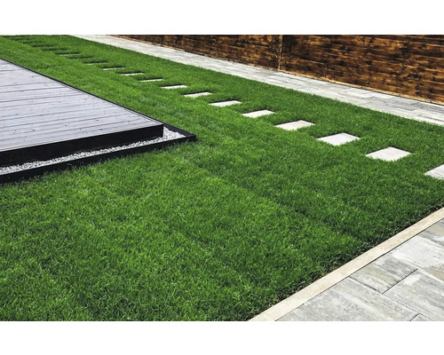 Scenă de grădină cu gazon, pietre de călcat și terasă din lemn