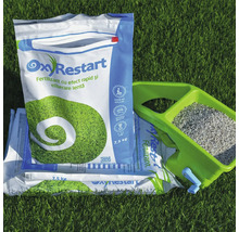 Fertilizant gazon OxyRestart 7,5 kg cu efect rapid și eliberare lentă
