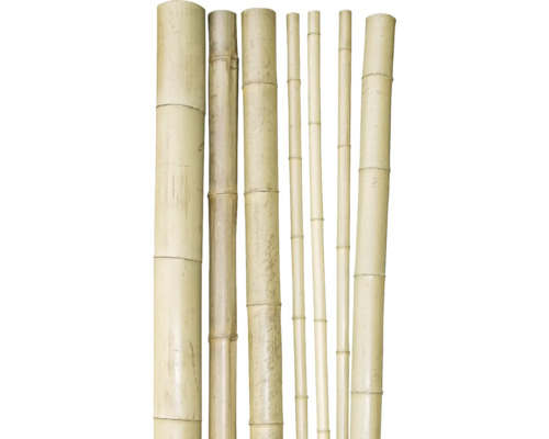 Diverse tije de bambus de diferite grosimi