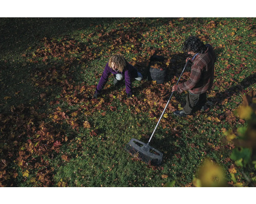 Persoane adună frunzele cu o greblă și le colectează într-un sac de frunze.