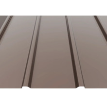 Foaie profilată pentru acoperișuri și pereți