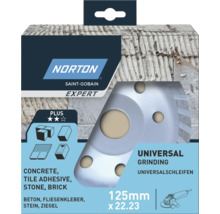 Disc abraziv universal Norton Saint-Gobain Expert 125 milimetri cu 22,23 pentru beton, adeziv pentru gresie, piatră și cărămidă în pachet