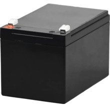 Baterie pentru gard electric NEXON 12 V 1 Ah