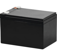 Baterie pentru gard electric NEXON 12 V 1 Ah