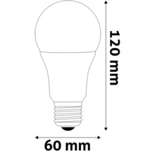 Imagine cu un bec LED cu dimensiunile de 120 mm înălțime și 60 mm lățime
