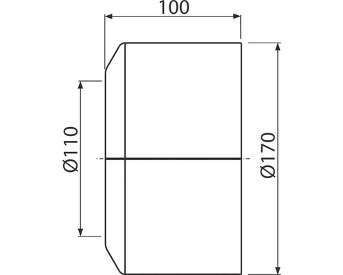 Desen tehnic cu dimensiunile 100, diametru 110 și diametru 170