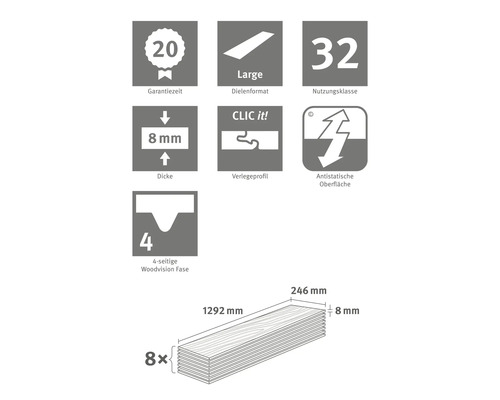 Informații despre perioada de garanție, formatul scândurilor, clasa de utilizare, grosime, profilul de instalare, suprafața antistatică și fațetă