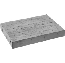 Pavaj gri din beton