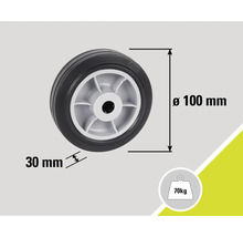 Roată cu dimensiunile de 100 mm diametru și 30 mm lățime, capacitate portantă 70 kg