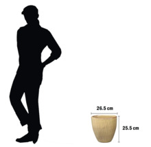 Ghiveci de flori cu dimensiuni ca referință pentru dimensiunea ghiveciului