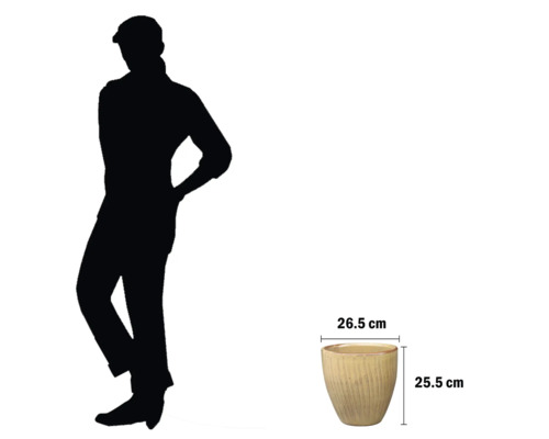 Ghiveci de flori cu dimensiuni ca referință pentru dimensiunea ghiveciului