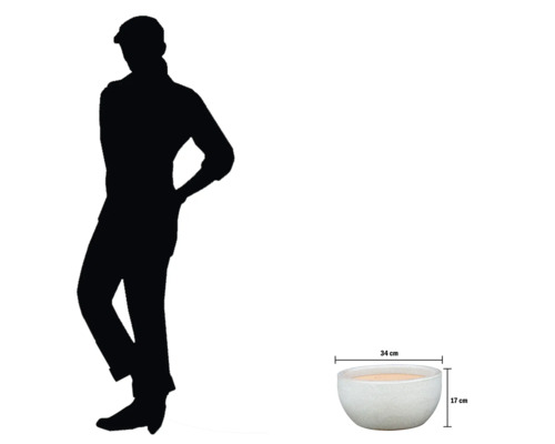 Jardinieră decorativă cu dimensiunile de 34 cm lățime și 17 cm înălțime.