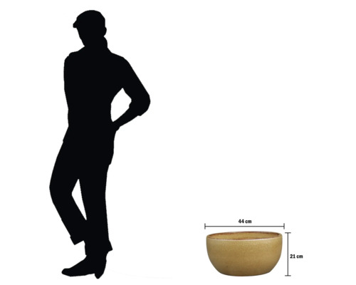 Bol cu dimensiunile de 44 cm pe 21 cm