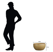 Bol decorativ pentru plante cu dimensiunile de 34 cm pe 17 cm.