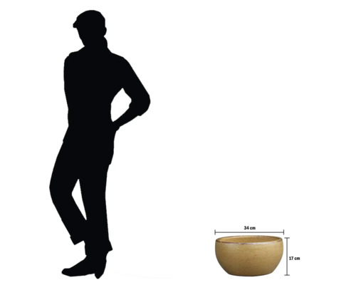 Bol decorativ pentru plante cu dimensiunile de 34 cm pe 17 cm.