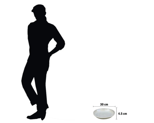 Ghiveci de flori cu dimensiunile de 30 de centimetri pe 4,5 centimetri pentru a ilustra proporțiile