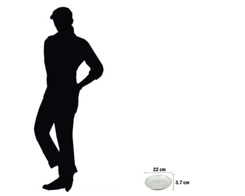 Farfurie cu dimensiunile de 22 cm diametru și 3,7 cm înălțime