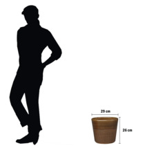 Ghiveci de flori cu dimensiuni și silueta unei persoane ca comparație de dimensiune