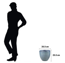 Ghiveci de flori cu dimensiuni și silueta unei persoane pentru compararea mărimilor