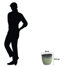 Ghiveci de flori cu dimensiunile de 30 cm pe 25,5 cm