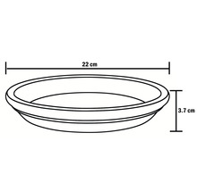 Schiță a unei farfurioare rotunde cu dimensiunile de 22 pe 3,7 centimetri.