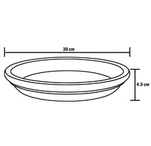 Imagine a unei schițe de suport pentru plante cu dimensiunile de 30 cm lățime și 4,5 cm înălțime.