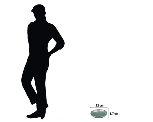 Dimensiunile unei farfurii ceramice: 22 centimetri diametru și 3,7 centimetri înălțime.