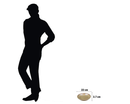 Bol decorativ cu dimensiunile de 22 centimetri pe 3,7 centimetri.