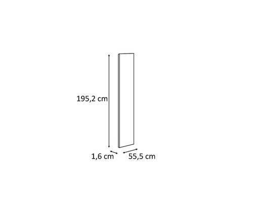 Imagine cu dimensiuni: 195,2 cm înălțime, 55,5 cm lățime, 1,6 cm adâncime
