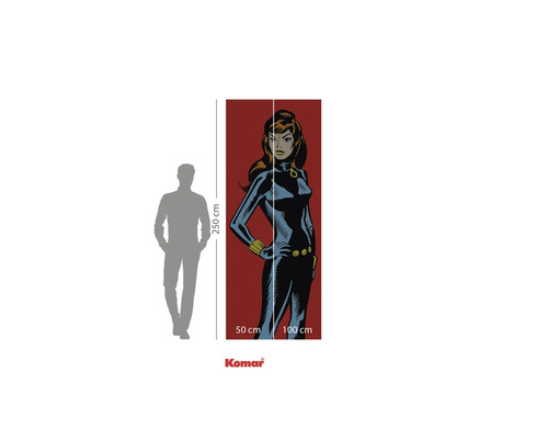 Fototapet Komar cu personaj de benzi desenate, 250x100 cm